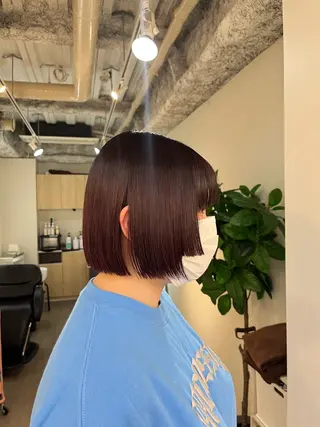 ショート カラー 【혁명】さら/사라: Korean🍀のヘアスタイル