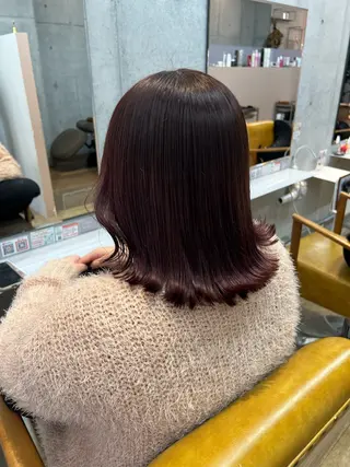 ロング カコ/レイヤーカット ヘアアレンジのヘアスタイル
