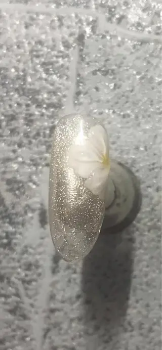 ネイル Fairyフェアリーネイルサロン所属・Fairy フェアリーネイルのネイルデザイン