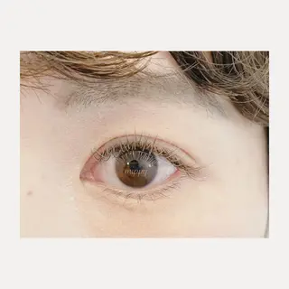 マツエク・マツパ ｍｉｐｐｙ 🪽のマツエク・マツパデザイン