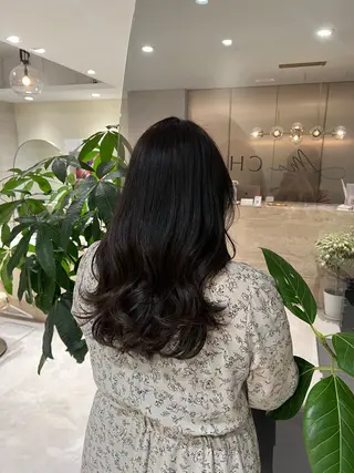 カラー カット無料｜レイヤー カット｜韓国モテへアのヘアスタイル