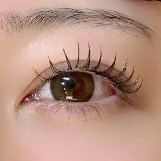 マツエク・マツパ eye &nailSABA beauty space所属・Koyuki /岡崎 /マツエク/ マツパの眉毛・アイブロウイメージ