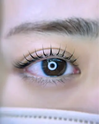 マツエク・マツパ arce -ｱﾙｾ- 🔅ヒマワリのマツエク・マツパデザイン