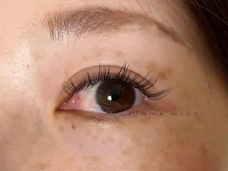 マツエク・マツパ Plume micoのマツエク・マツパデザイン