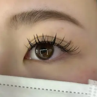 マツエク・マツパ Celeste Venus所属・🧸Celeste Venusのマツエク・マツパデザイン