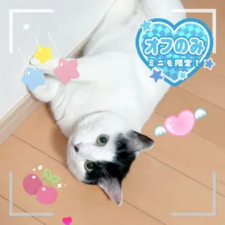 ネイル Nail salon Yumechika所属・施術者 HAZUKIのネイルデザイン