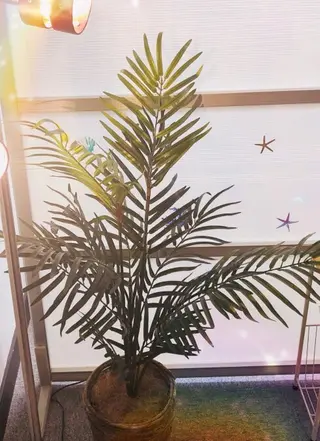 MAILE銀座 KAORI🌴🧡のエステ・リラクイメージ