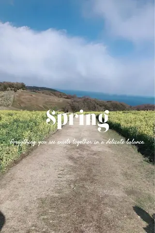 マツエク・マツパ アイラッシュサロン Moa  Moa所属・MoaMoa 🩵ᩚsaya🩵ᩚのマツエク・マツパデザイン