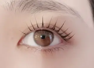 マツエク・マツパ アレグレス所属・アレグレス@池袋 🌹大人気店🌹のマツエク・マツパデザイン