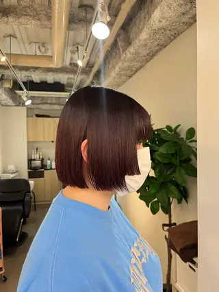 ショート カラー 【혁명】さら/사라: Korean🍀のヘアスタイル