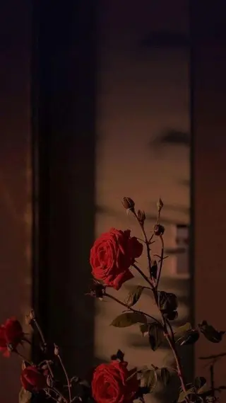 Iwasaki Nene☾店長のマツエク・マツパデザイン