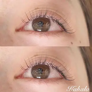 マツエク・マツパ Fujimoto 🦭⸝⋆꙳のマツエク・マツパデザイン