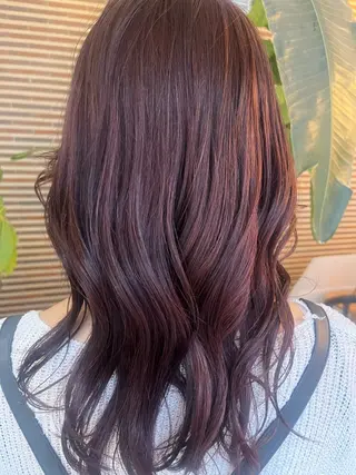 セミロング 🎀Daisy🎀 はやしれいのヘアスタイル