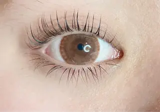 マツエク・マツパ haru ‎‎.の眉毛・アイブロウイメージ