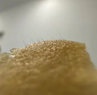 Lumiere despoir所属・Lumiere despoirのエステ・リラクイメージ