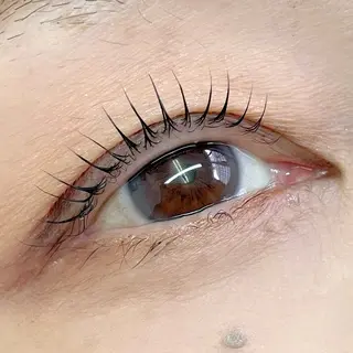 マツエク・マツパ eyelash  meme所属・eyelash memeのマツエク・マツパデザイン