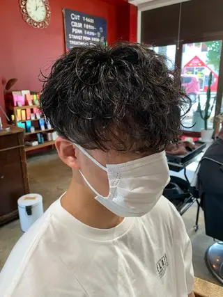 ショート パーマ 宮嶋 勇輔のヘアスタイル