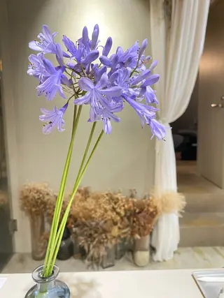 erika /韓国ヘアのヘアスタイル