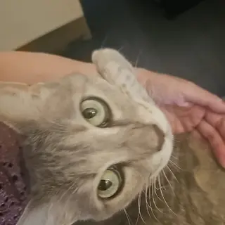 salon de Princess所属・salon de  Princessのネイルデザイン