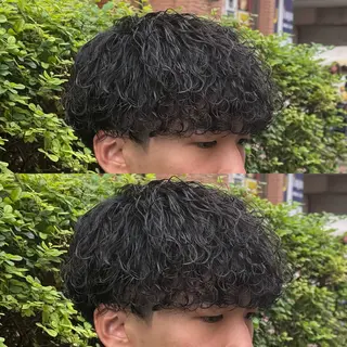パーマ メンズ 柏メンズカットパーマ NO.1タイチのヘアスタイル