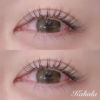 マツエク・マツパ Fujimoto 🦭⸝⋆꙳のマツエク・マツパデザイン