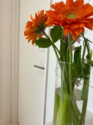 マツエク・マツパ loji所属・ナチュラル眉サロン 🌿lojiロジの眉毛・アイブロウイメージ