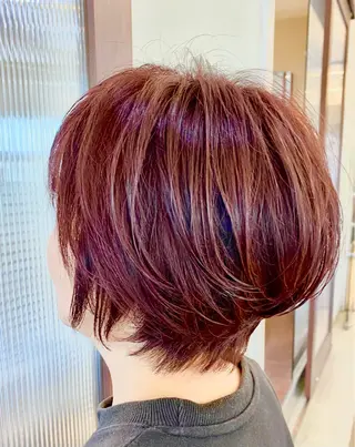 ショート 鈴木 千恵子のヘアスタイル