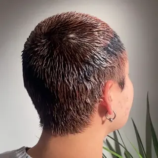 ショート カラー 履歴修正ハイトーン TAKEのヘアスタイル