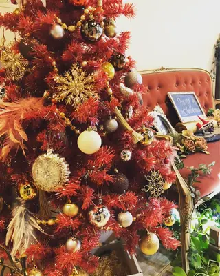 :::  gally :::のヘアスタイル