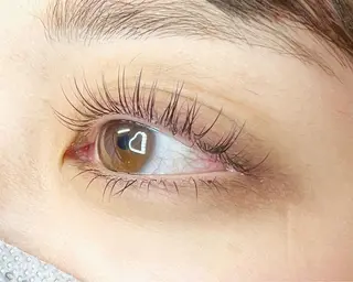 マツエク・マツパ Celeste Venus所属・🧸Celeste Venusのマツエク・マツパデザイン