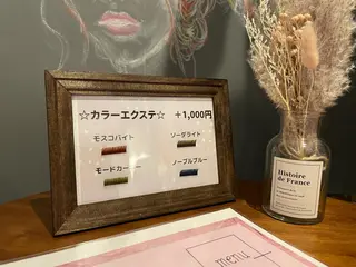 マツエク・マツパ シュクランアイ AYAKOのマツエク・マツパデザイン