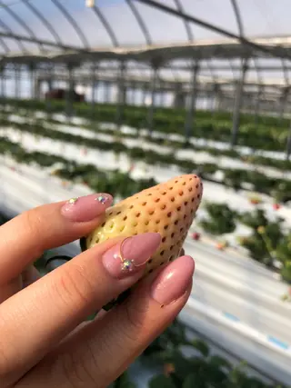 ネイル パーソナルカラー診断 船橋日大前駅店のその他イメージ