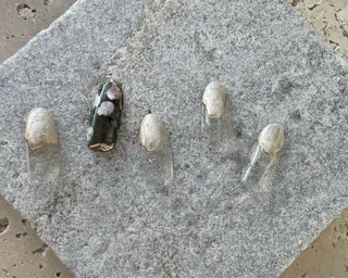 ネイル tree houseのネイルデザイン