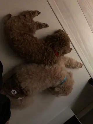 脱毛サロン RP（ルピ）のエステ・リラクイメージ