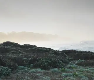 ネイル nnail Natsumiのネイルデザイン