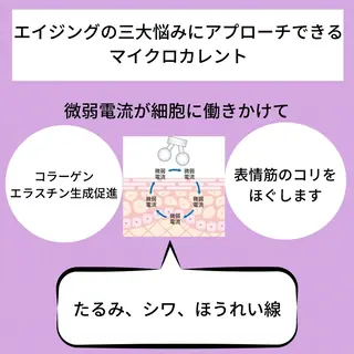 小顔・ツルツル素肌 ハリステリアのエステ・リラクイメージ