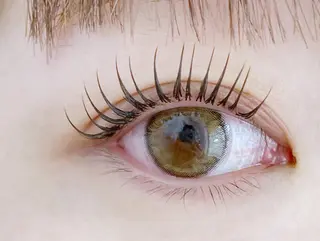 マツエク・マツパ トップアイリスト羽名 武蔵小杉のマツエク・マツパデザイン