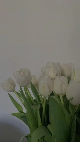 マツエク・マツパ miien(SALONVILLAGE内)所属・MOE /渋谷・明治神宮前のマツエク・マツパデザイン