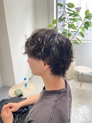 ショート パーマ メンズ 榎戸 怜真のヘアスタイル