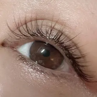 マツエク・マツパ 六花〜rikka〜所属・六花 〜rikka〜のマツエク・マツパデザイン