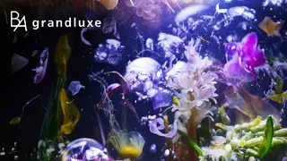 ＰＯＬＡ福岡東店所属・POLA　福岡東店 木山 のその他イメージ