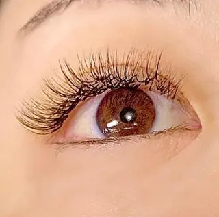 マツエク・マツパ AKAMEE omotesando所属・Toyoshima Sakikoのマツエク・マツパデザイン