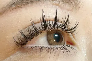 マツエク・マツパ HARIS店長🦋 Ishiguroのマツエク・マツパデザイン