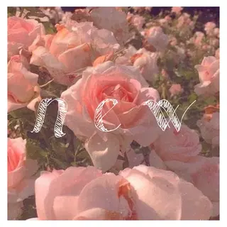 マツエク・マツパ ｍｉｐｐｙ 🪽のマツエク・マツパデザイン