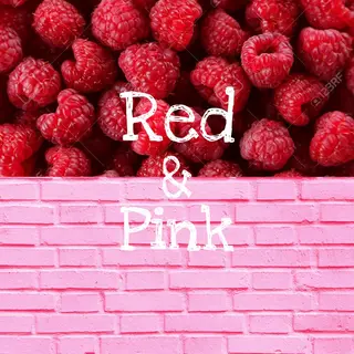 ショート HARUKI 艶髪特化美容師のヘアスタイル