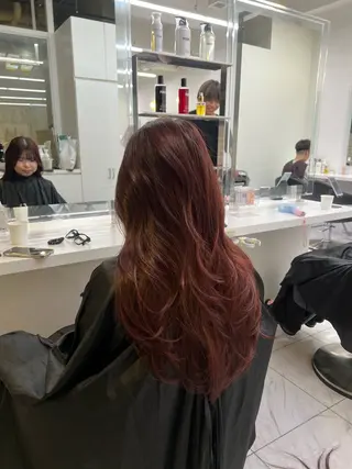 ロング カラー 韓国レイヤーカット /ダブルカラーのヘアスタイル
