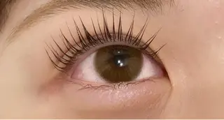 マツエク・マツパ eyelash Aoのマツエク・マツパデザイン