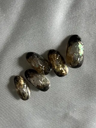 ネイル Encanto.所属・ネイルサロン エンカントのネイルデザイン