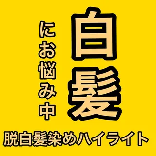 ショート カラー 大人ショート🥂みつ はし こうだい🦕のヘアスタイル