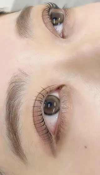 マツエク・マツパ 🌼Alba🌼 犬馬塲のマツエク・マツパデザイン